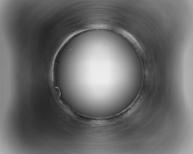 X0000099971236200805301327