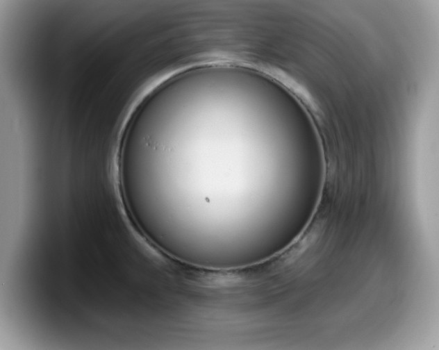 X0000099971239200805301327