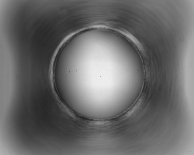 X0000099971240200805301327