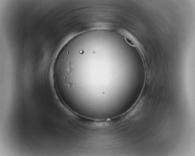 X0000099971243200805301327