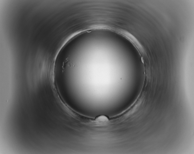 X0000099971244200805301327