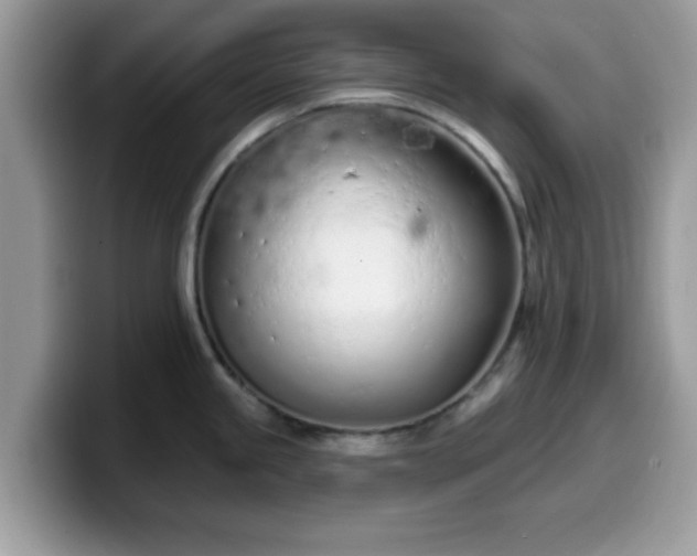 X0000099971245200805301327