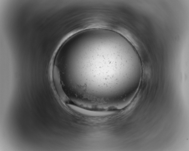 X0000099971246200805301327