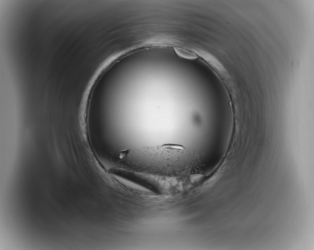 X0000099971248200805301327