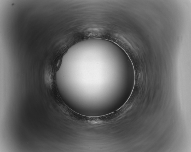 X0000099971250200805301327