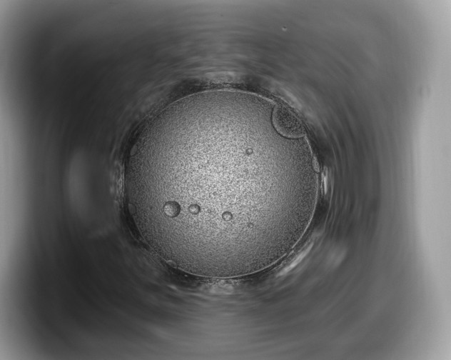 X0000099971251200805301327