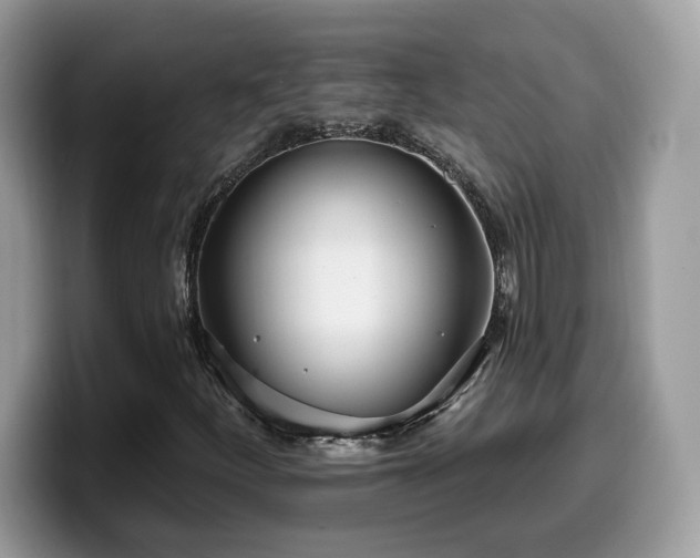 X0000099971252200805301327