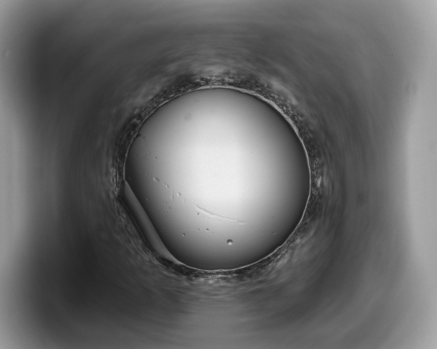 X0000099971253200805301327