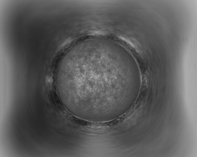 X0000099971254200805301327