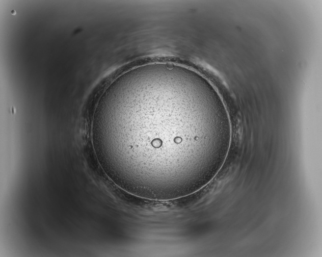 X0000099971255200805301327