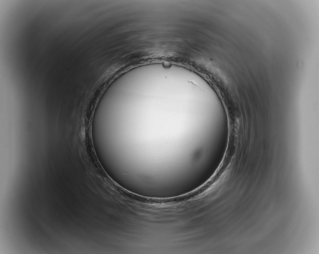 X0000099971257200805301327