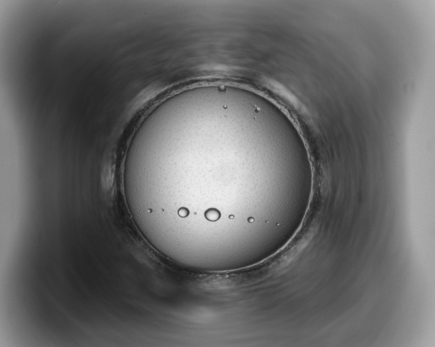 X0000099971259200805301327