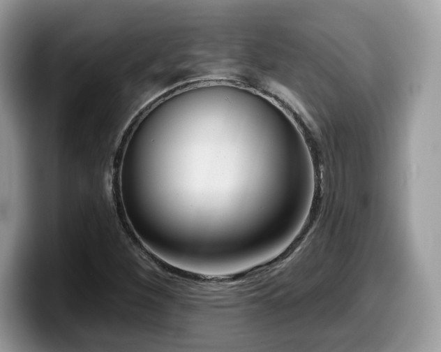 X0000099971260200805301327