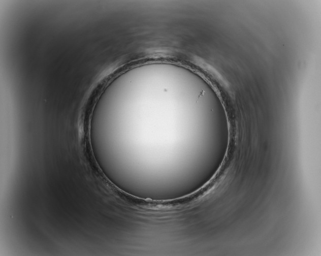 X0000099971261200805301327