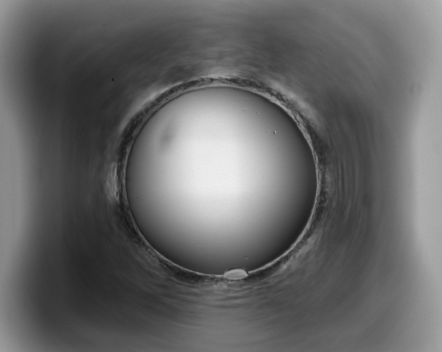 X0000099971262200805301327