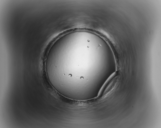 X0000099971263200805301327