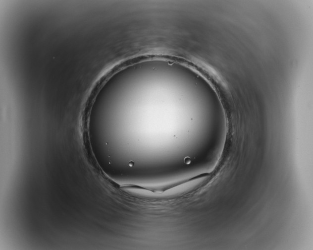 X0000099971264200805301327