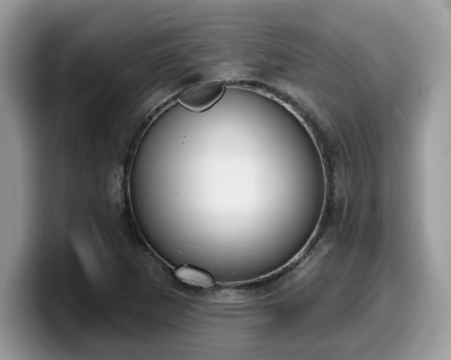 X0000099971265200805301327