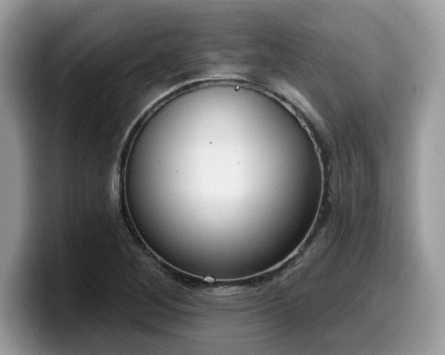 X0000099971268200805301327