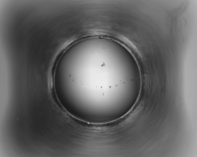 X0000099971269200805301327