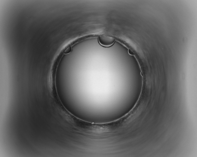 X0000099971270200805301327