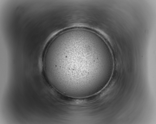 X0000099971271200805301326