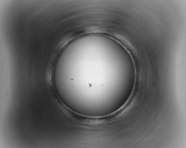 X0000099971273200805301326