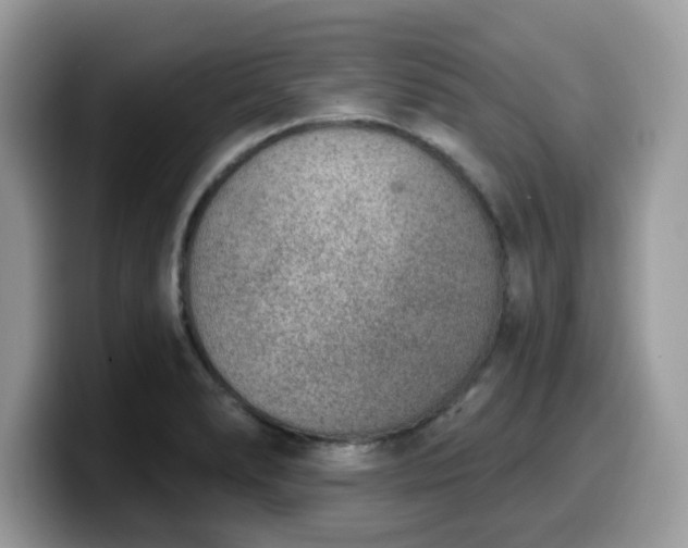 X0000099971278200805301326