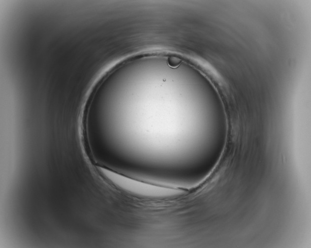 X0000099971279200805301326