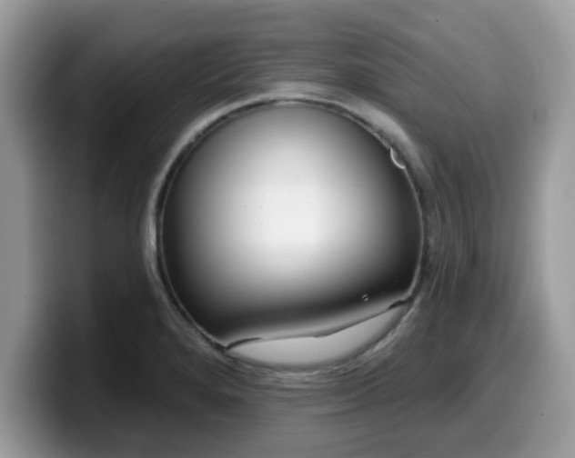 X0000099971280200805301326