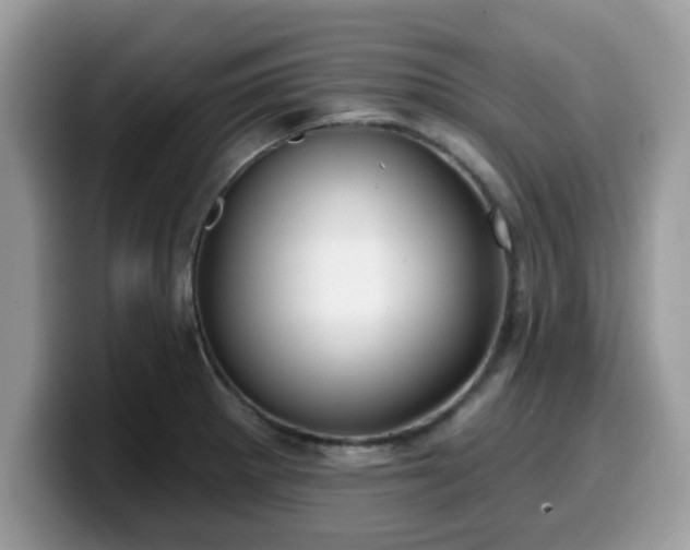 X0000099971281200805301326