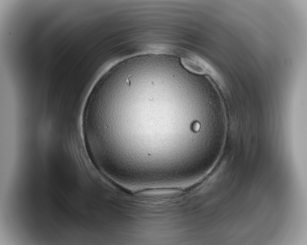 X0000099971283200805301326