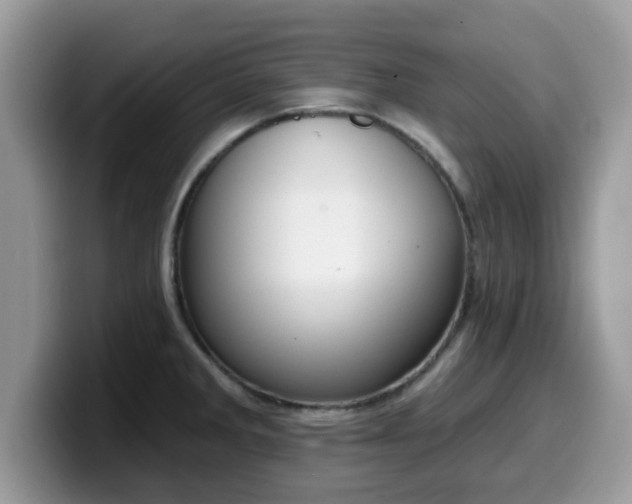 X0000099971285200805301326