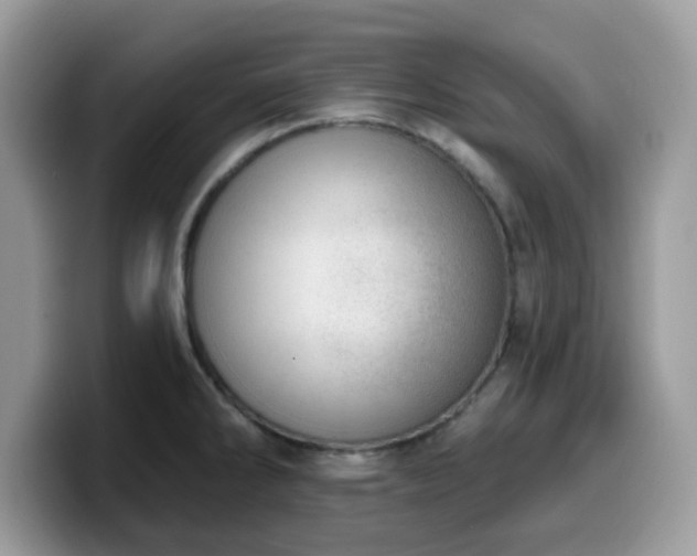 X0000099971286200805301326