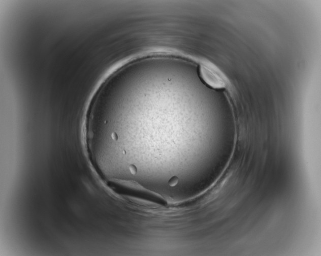 X0000099971287200805301326