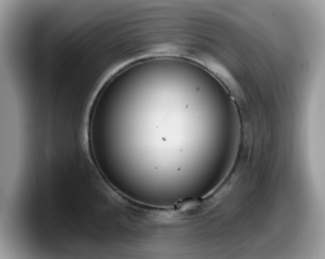 X0000099971288200805301326