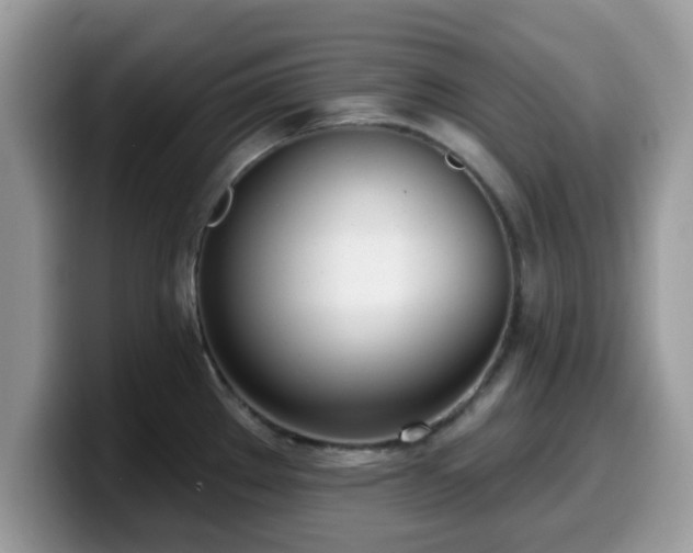 X0000099971289200805301326