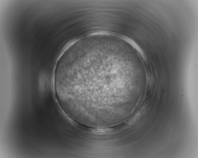 X0000099971290200805301326