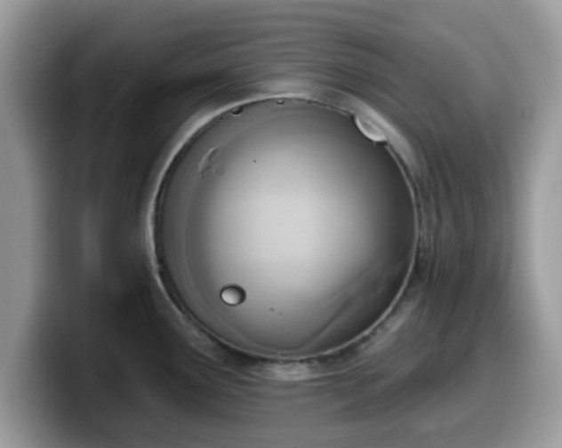 X0000099971291200805301326