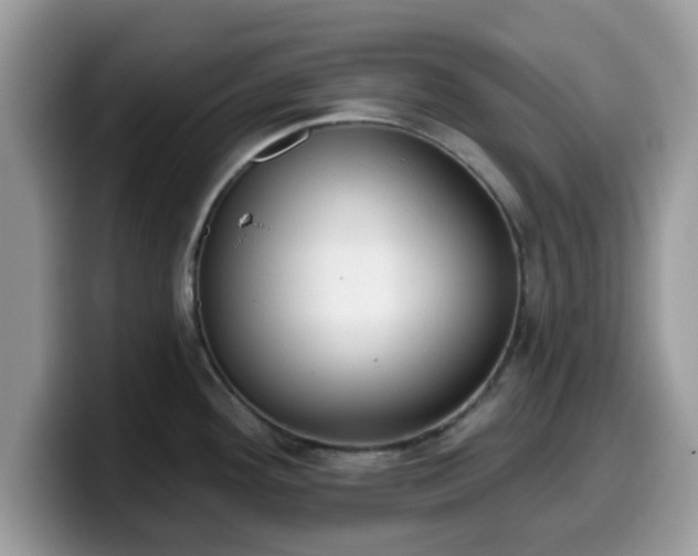 X0000099971292200805301326