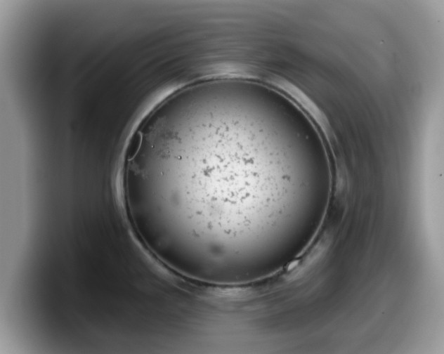 X0000099971293200805301326