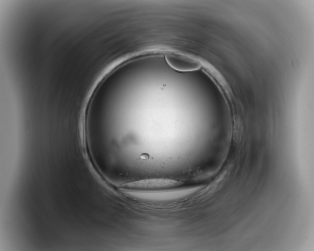 X0000099971295200805301326