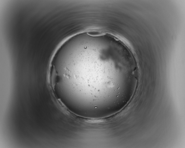 X0000099971296200805301326