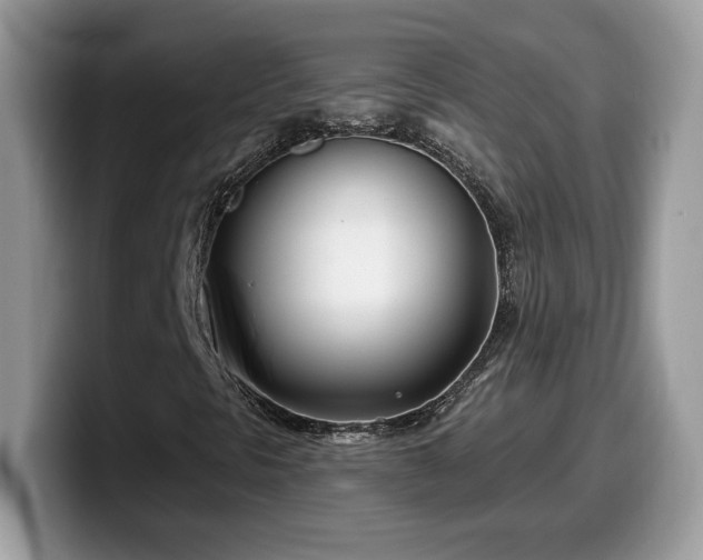 X0000099971297200805301326