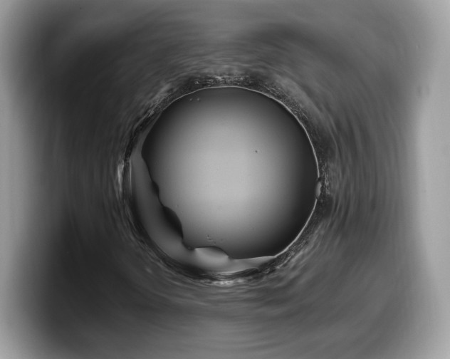 X0000099971298200805301326