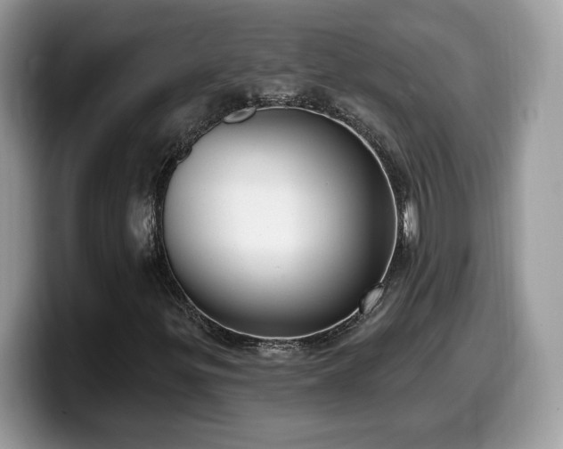 X0000099971299200805301326