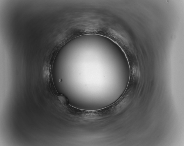 X0000099971300200805301326