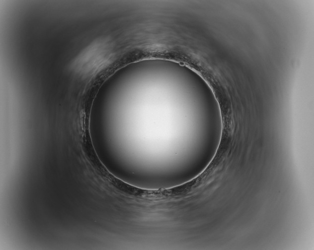 X0000099971301200805301326