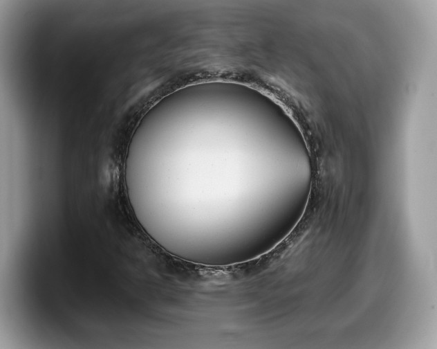 X0000099971302200805301326