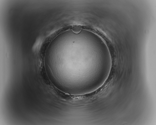 X0000099971303200805301326